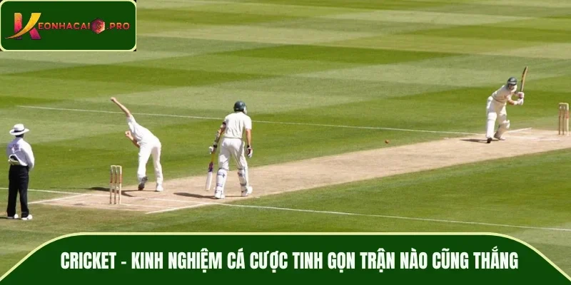 cricket
