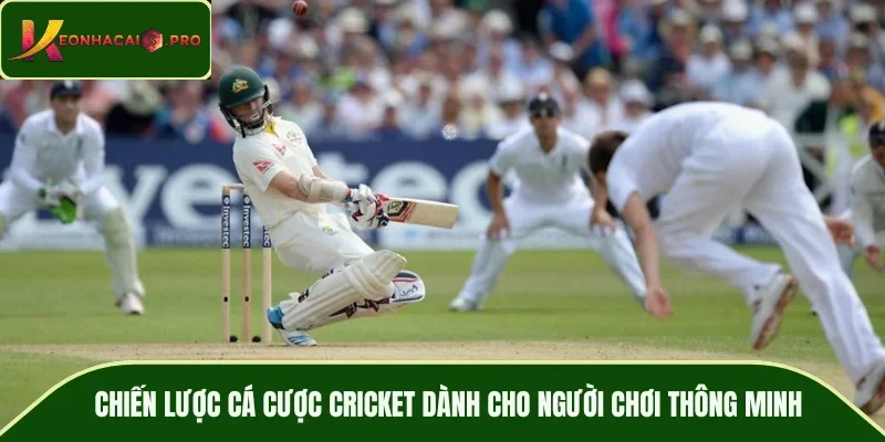 Kỹ thuật đặt cược blackjack hiệu quả theo chuỗi