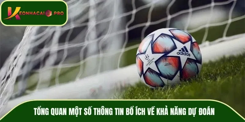 Tổng quan một số thông tin bổ ích về khả năng dự đoán