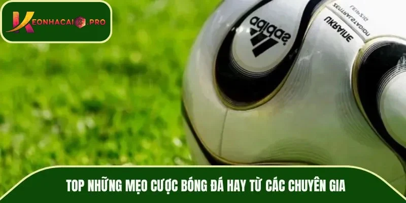 TOP những mẹo cược bóng đá hay từ các chuyên gia