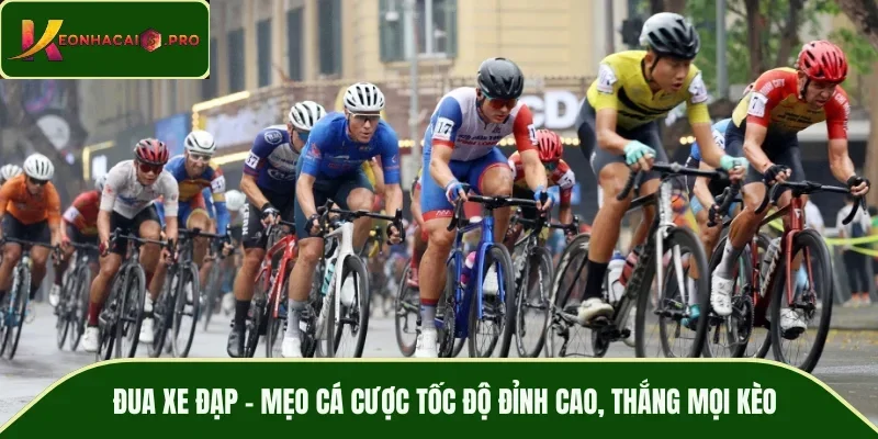 đua xe đạp