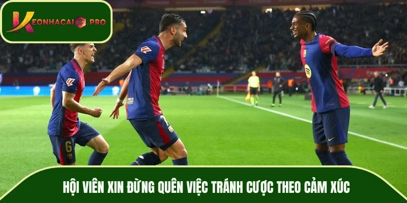 Hội viên xin đừng quên việc tránh cược theo cảm xúc